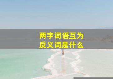 两字词语互为反义词是什么