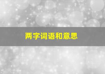 两字词语和意思