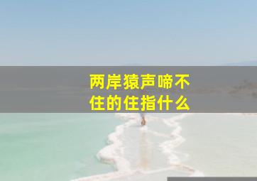 两岸猿声啼不住的住指什么