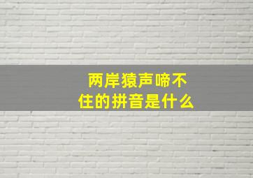 两岸猿声啼不住的拼音是什么