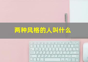 两种风格的人叫什么