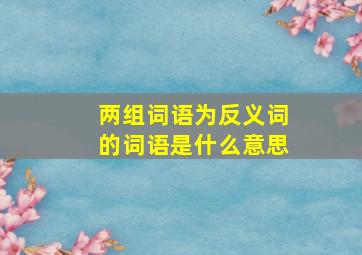 两组词语为反义词的词语是什么意思