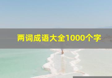 两词成语大全1000个字