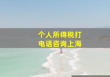 个人所得税打电话咨询上海