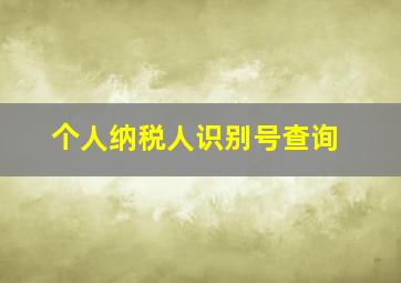 个人纳税人识别号查询