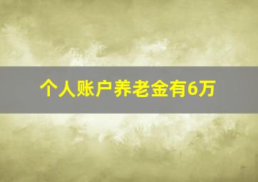 个人账户养老金有6万