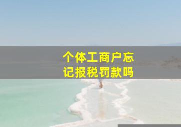 个体工商户忘记报税罚款吗