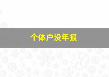 个体户没年报