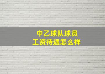 中乙球队球员工资待遇怎么样