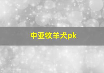 中亚牧羊犬pk