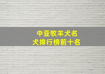 中亚牧羊犬名犬排行榜前十名