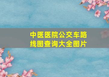 中医医院公交车路线图查询大全图片