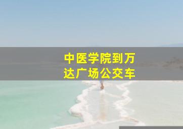 中医学院到万达广场公交车