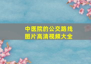 中医院的公交路线图片高清视频大全