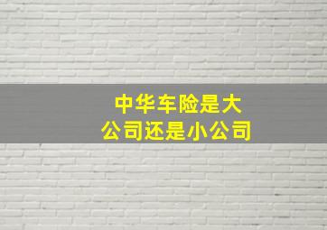 中华车险是大公司还是小公司