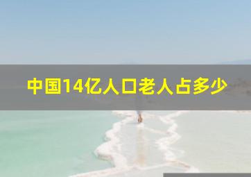 中国14亿人口老人占多少