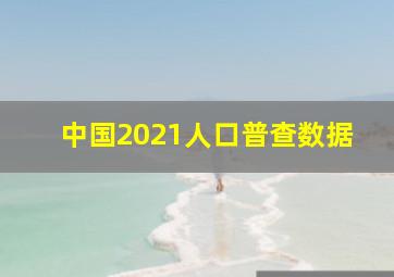 中国2021人口普查数据