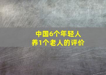 中国6个年轻人养1个老人的评价