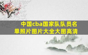 中国cba国家队队员名单照片图片大全大图高清