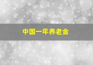 中国一年养老金