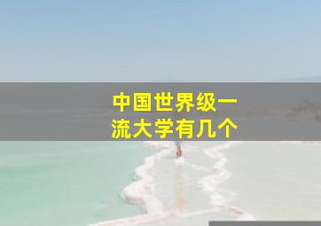 中国世界级一流大学有几个