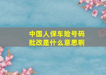 中国人保车险号码批改是什么意思啊