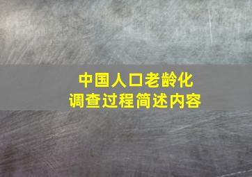 中国人口老龄化调查过程简述内容