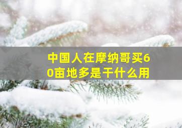 中国人在摩纳哥买60亩地多是干什么用