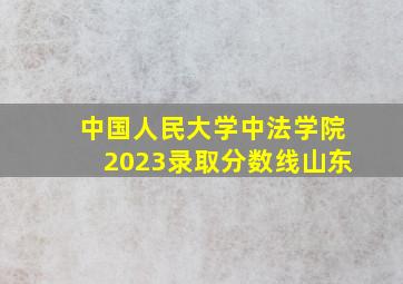 中国人民大学中法学院2023录取分数线山东