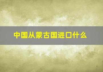 中国从蒙古国进口什么