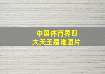 中国体育界四大天王是谁图片