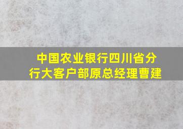 中国农业银行四川省分行大客户部原总经理曹建