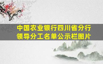 中国农业银行四川省分行领导分工名单公示栏图片