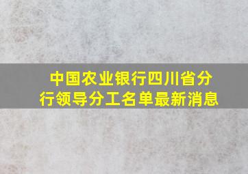 中国农业银行四川省分行领导分工名单最新消息