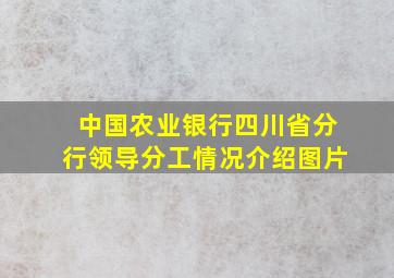 中国农业银行四川省分行领导分工情况介绍图片