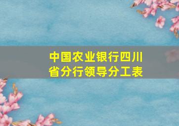 中国农业银行四川省分行领导分工表