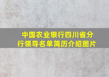 中国农业银行四川省分行领导名单简历介绍图片