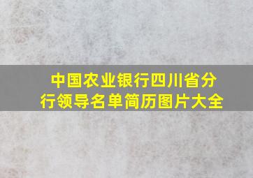 中国农业银行四川省分行领导名单简历图片大全