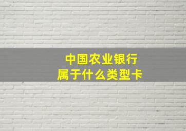 中国农业银行属于什么类型卡