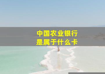 中国农业银行是属于什么卡