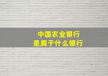 中国农业银行是属于什么银行