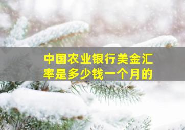 中国农业银行美金汇率是多少钱一个月的