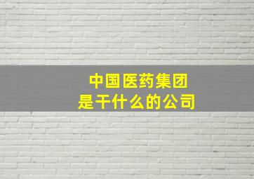 中国医药集团是干什么的公司