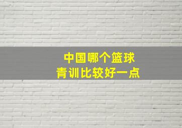 中国哪个篮球青训比较好一点