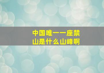 中国唯一一座禁山是什么山峰啊