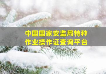 中国国家安监局特种作业操作证查询平台