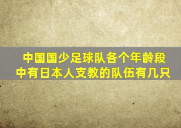 中国国少足球队各个年龄段中有日本人支教的队伍有几只