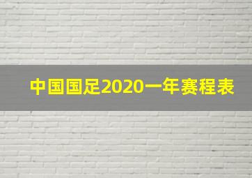 中国国足2020一年赛程表