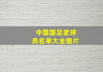 中国国足老球员名单大全图片