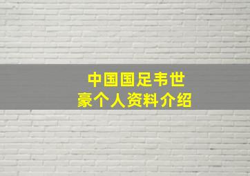 中国国足韦世豪个人资料介绍